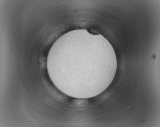 X0000112820135200909181635