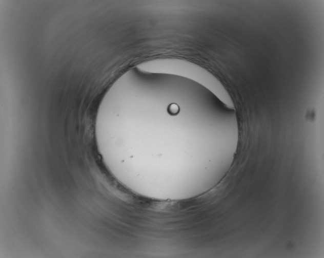 X0000112820136200909181635