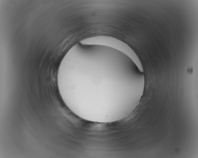 X0000112820140200909181634