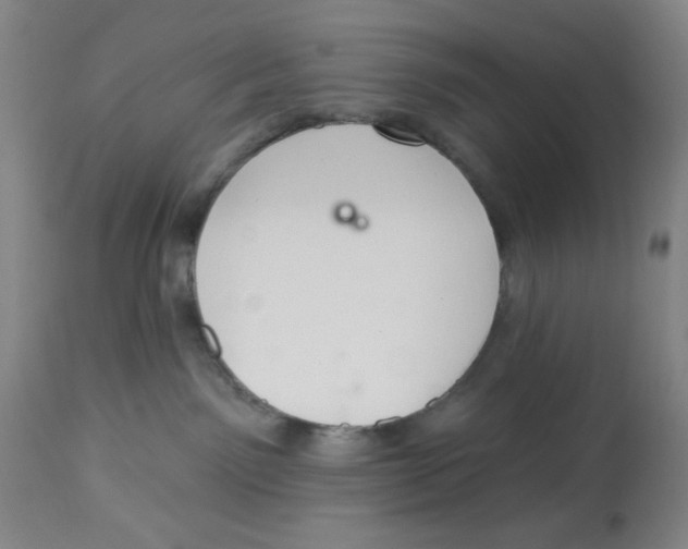 X0000112820141200909181634