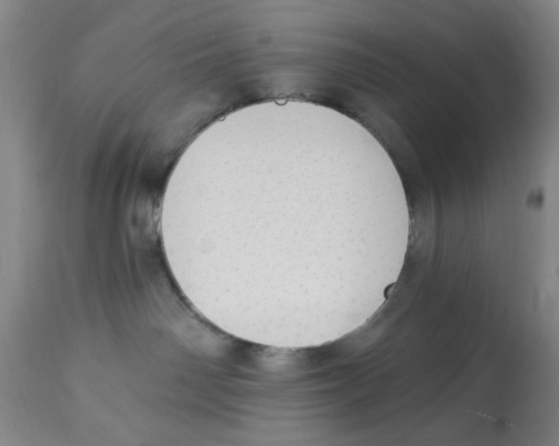 X0000112820142200909181634