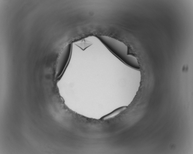 X0000112820144200909181634
