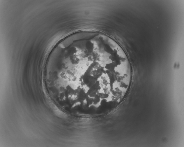 X0000112820145200909181634