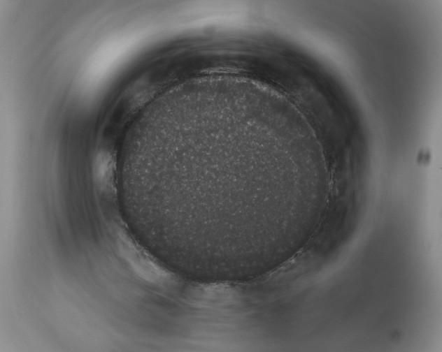 X0000112820146200909181634