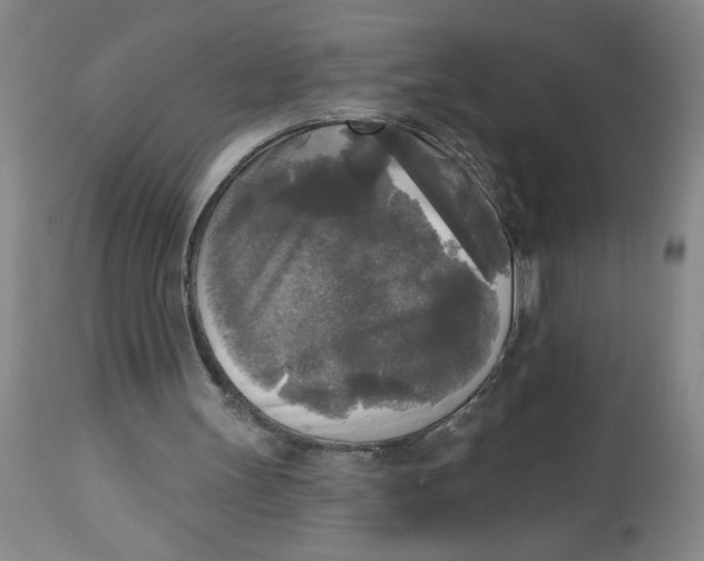 X0000112820147200909181634