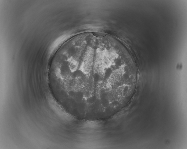 X0000112820149200909181634