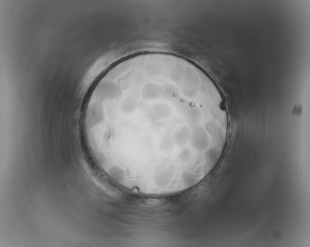 X0000112820151200909181634