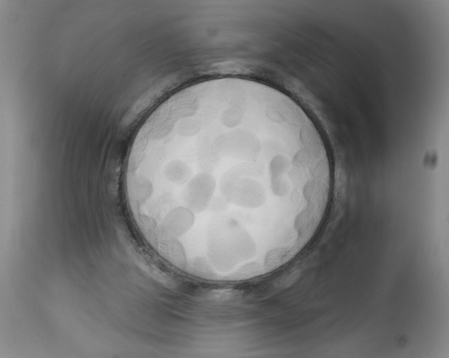 X0000112820153200909181634