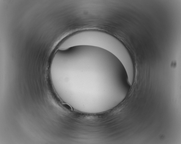 X0000112820156200909181634