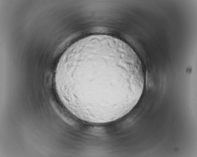 X0000112820157200909181634