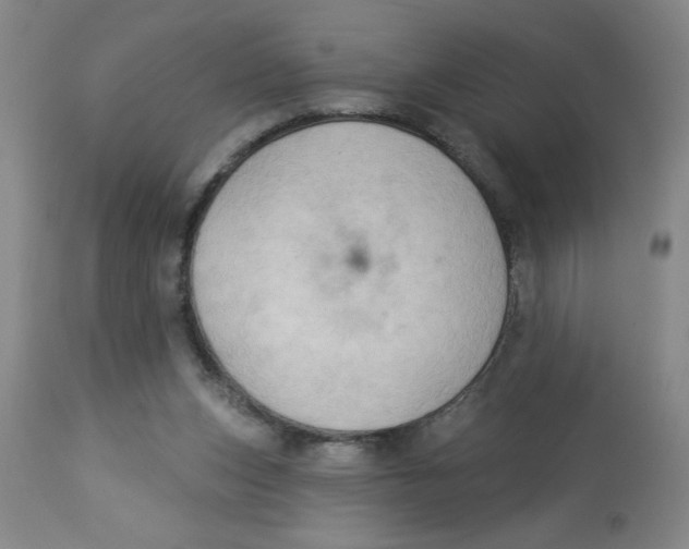 X0000112820159200909181634