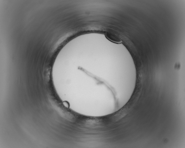 X0000112820160200909181634