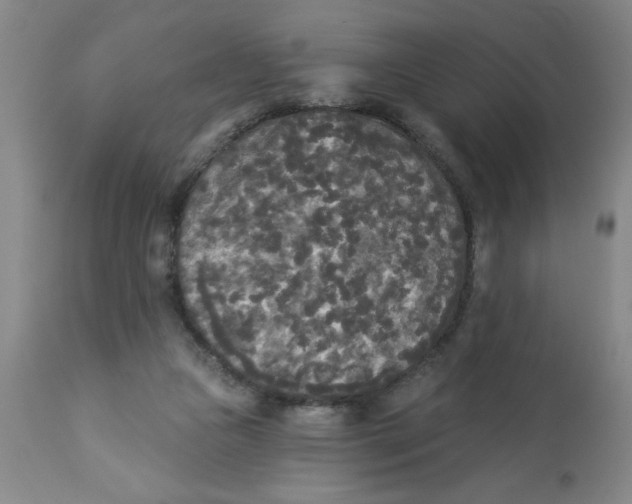 X0000112820161200909181634