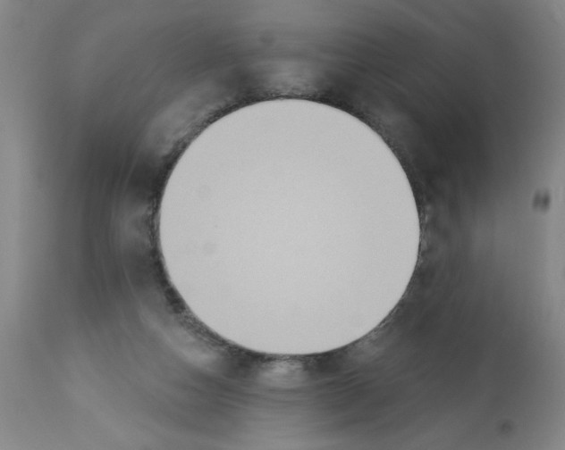 X0000112820162200909181634