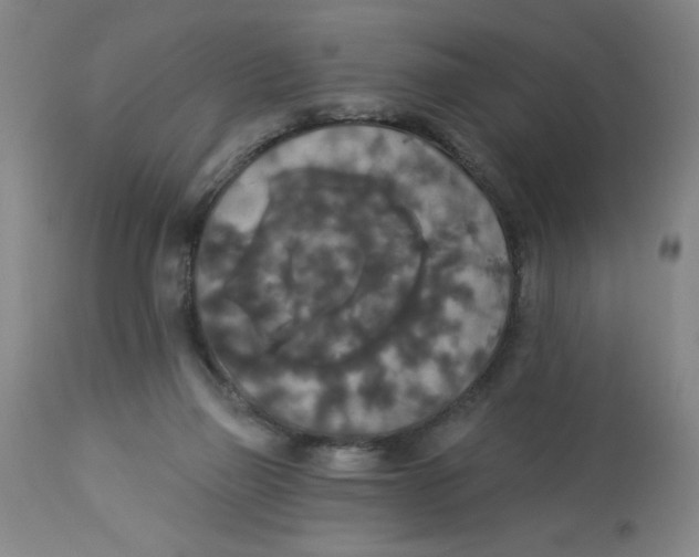 X0000112820165200909181634