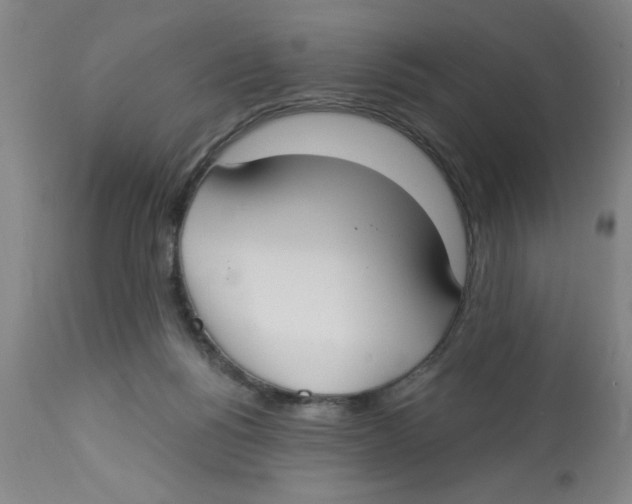 X0000112820168200909181634