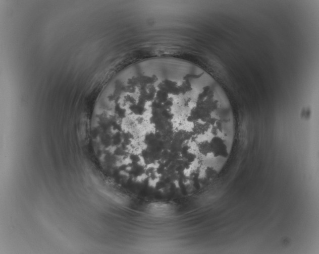 X0000112820169200909181634