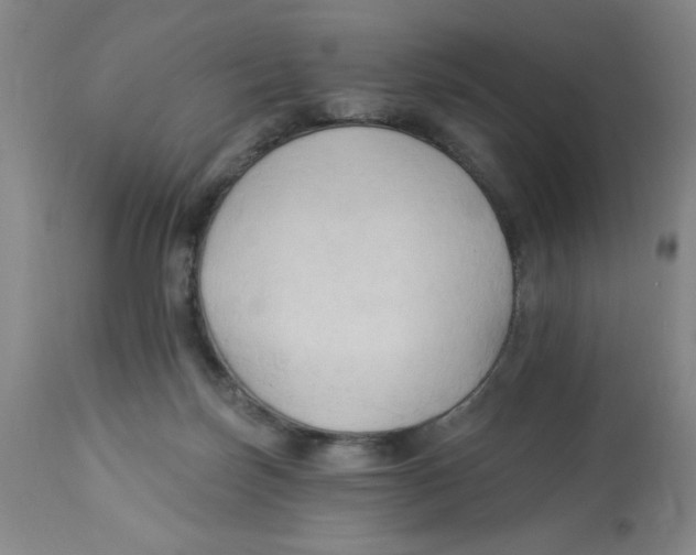 X0000112820171200909181634