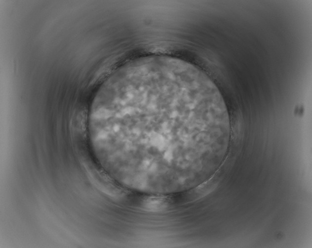 X0000112820175200909181634