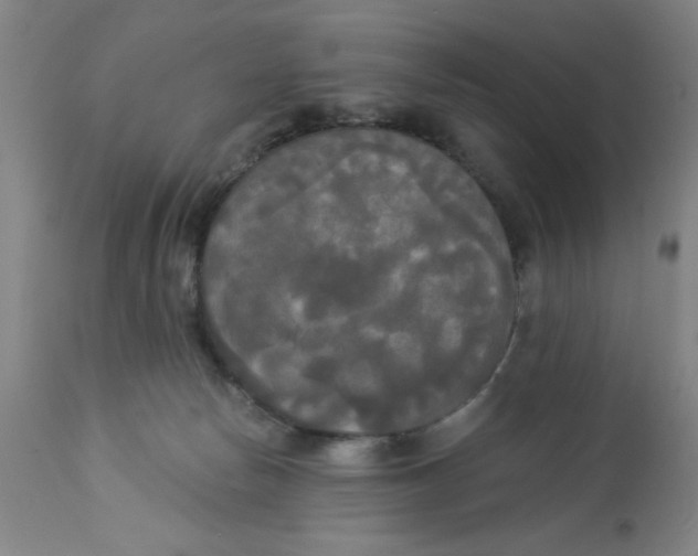 X0000112820178200909181634