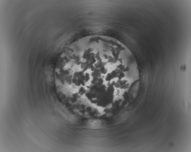 X0000112820181200909181634