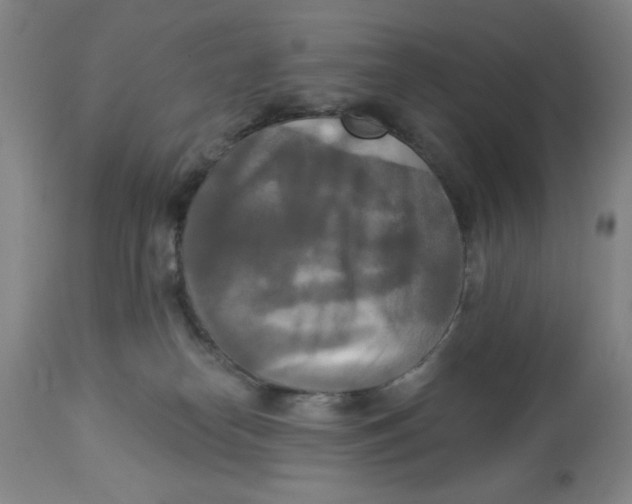 X0000112820182200909181634