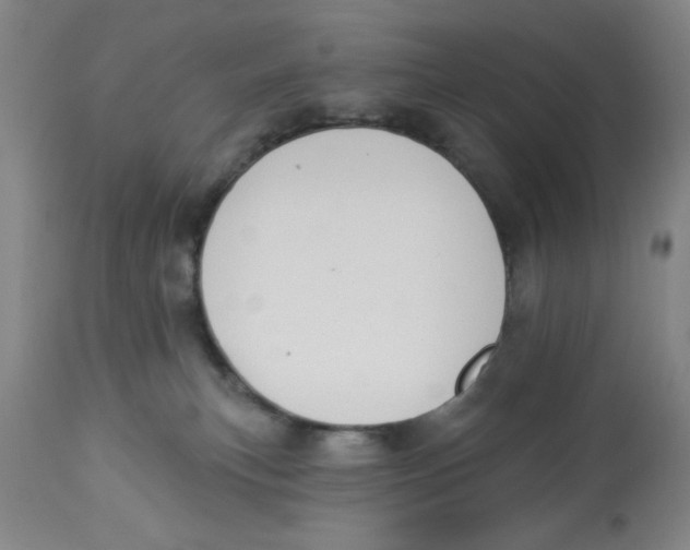 X0000112820183200909181634