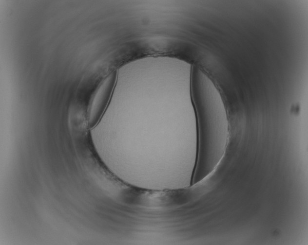 X0000112820186200909181634