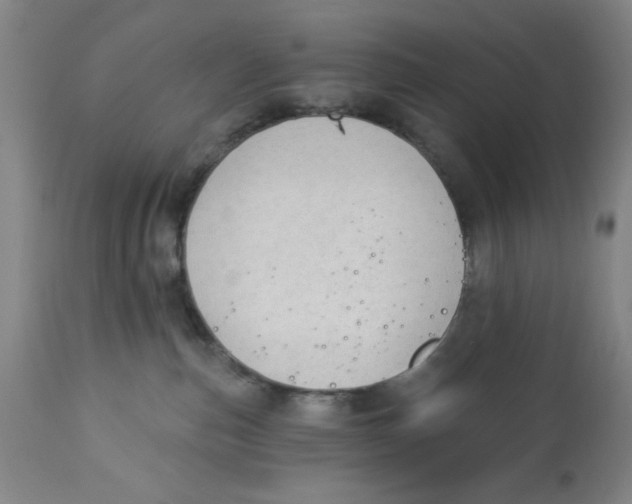 X0000112820187200909181634