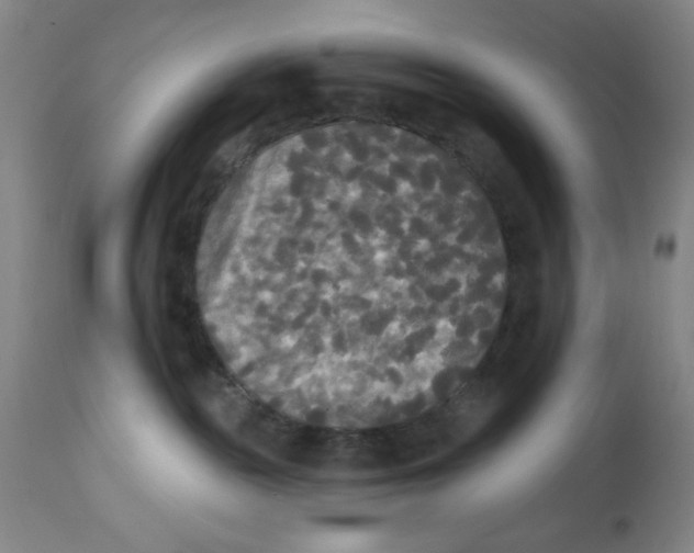 X0000112820189200909181634