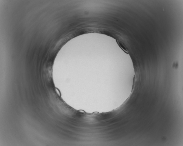 X0000112820190200909181634