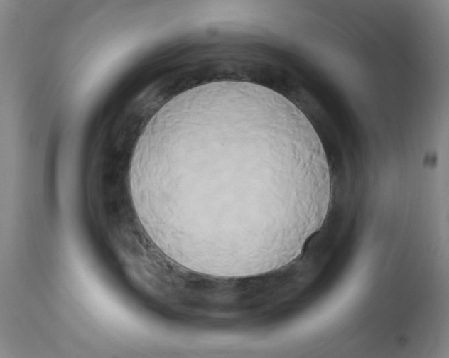 X0000112820191200909181634