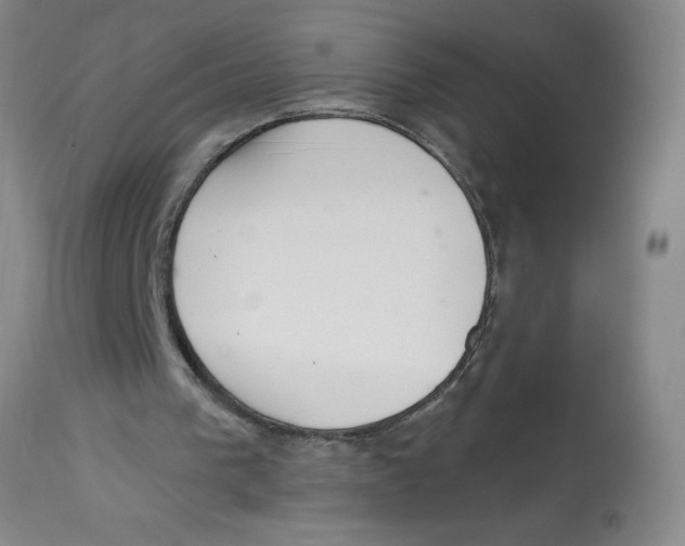 X0000112820193200909181634