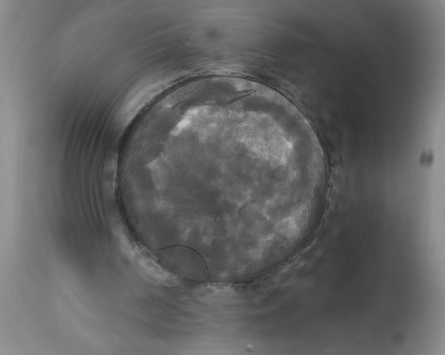 X0000112820194200909181634