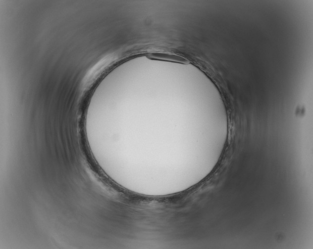 X0000112820197200909181634