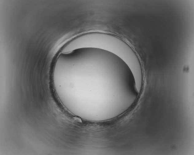 X0000112820199200909181634