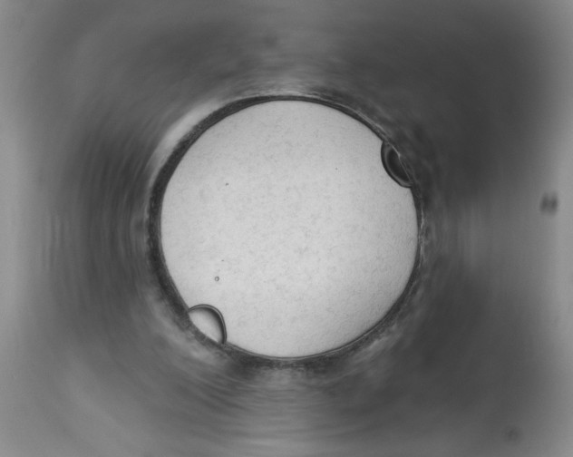 X0000112820200200909181633