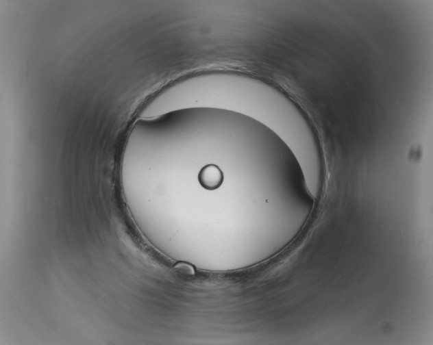 X0000112820201200909181633