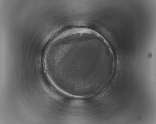 X0000112820202200909181633