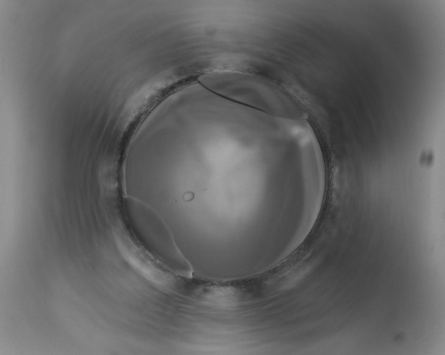 X0000112820203200909181633