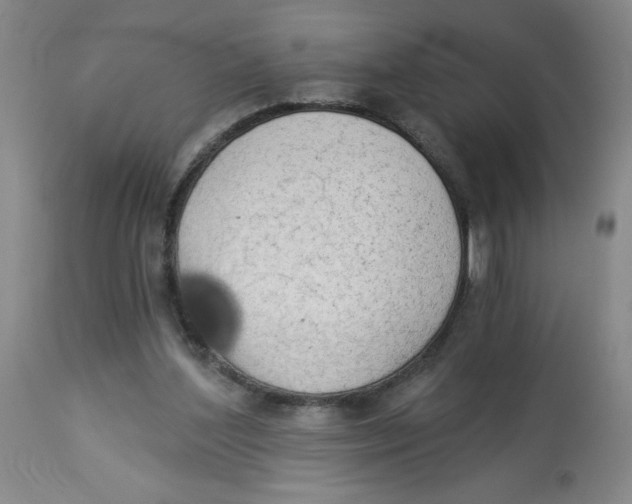 X0000112820204200909181633