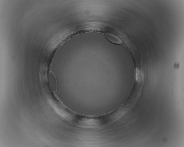 X0000112820205200909181633