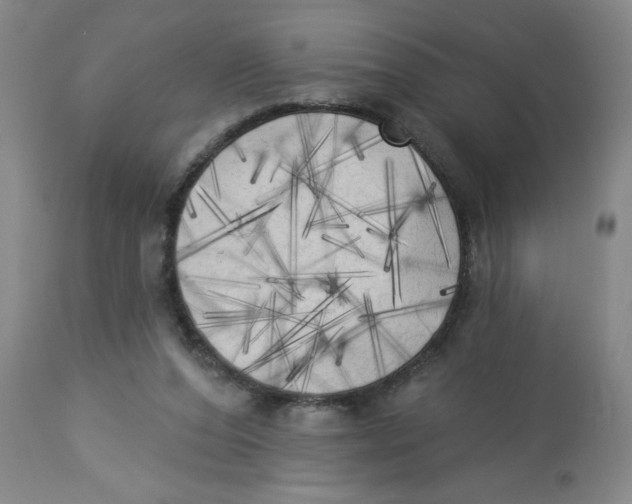X0000112820208200909181633