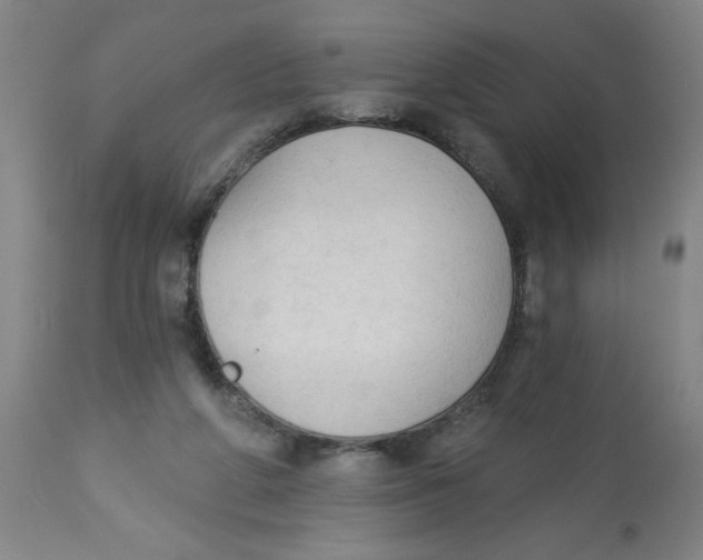 X0000112820210200909181633