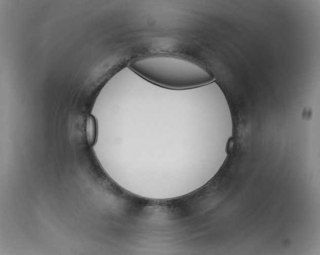 X0000112820211200909181633