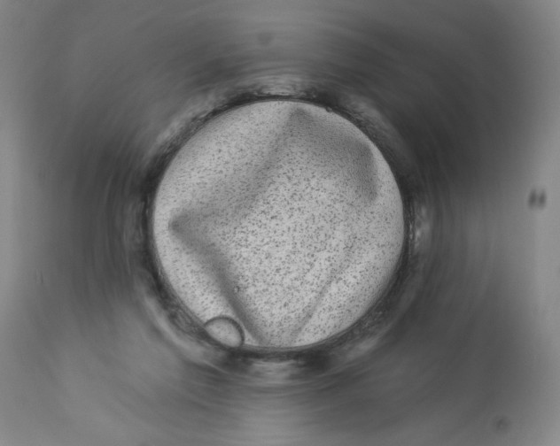 X0000112820213200909181633