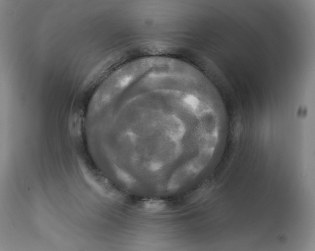 X0000112820214200909181633