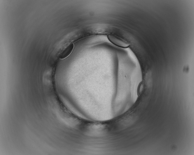 X0000112820217200909181633