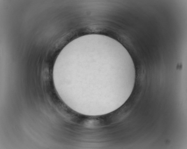 X0000112820220200909181633