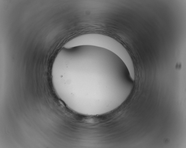 X0000112820221200909181633